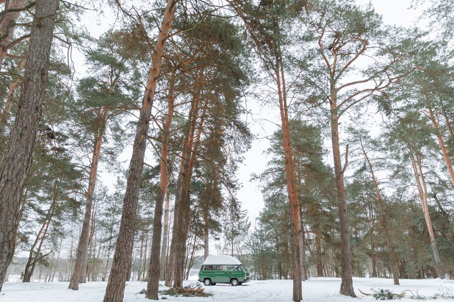 Toyota Hilux / HiAce camper platforms · النموذج التمثيلي